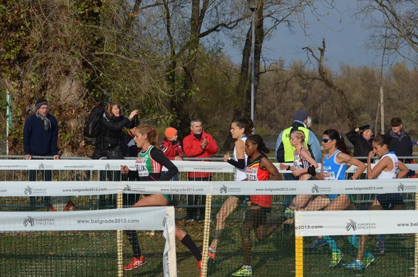 Razza femminile — Foto Stock