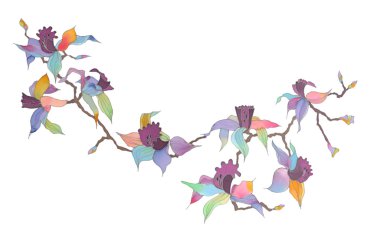 Beyaz arka plan üzerinde izole orkide Şubesi