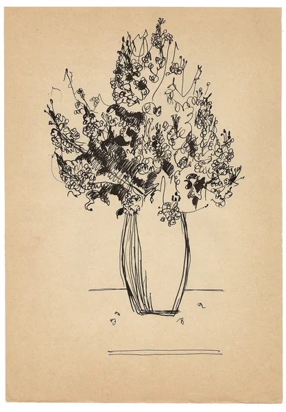 Pen drawing bouquet sketch on old paper — Stock Photo, Image
