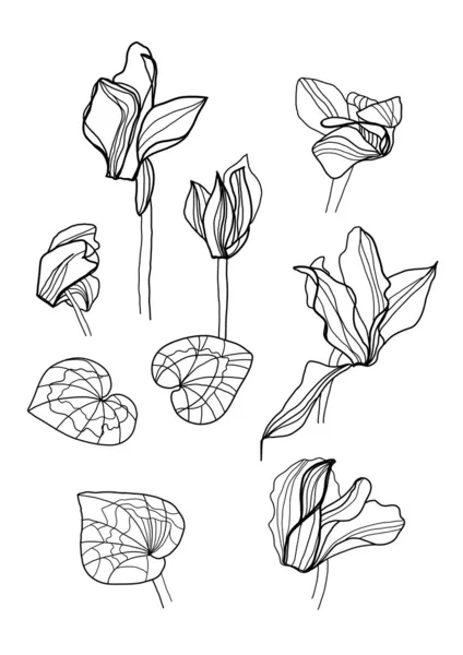 Cyclamens pen tekening set — Stockvector