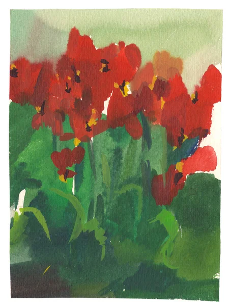 Watercolor painting tulips — Stock Photo, Image