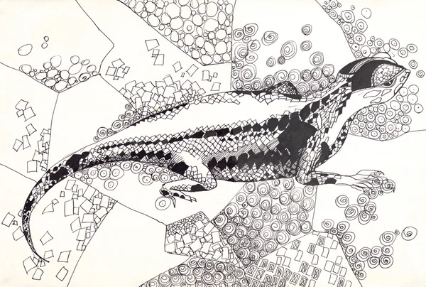 Desenho caneta lagarto — Fotografia de Stock