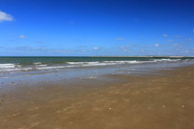 Hollanda 'daki kumlu plajları beyaz kaplamalı dalgalar basıyor.