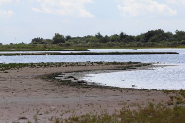 Su yüzeyinde küçük kum adası, mavi gökyüzü arka planda.