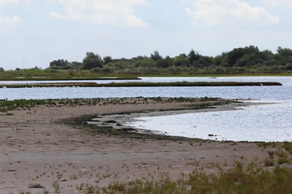 Su yüzeyinde küçük kum adası, mavi gökyüzü arka planda.