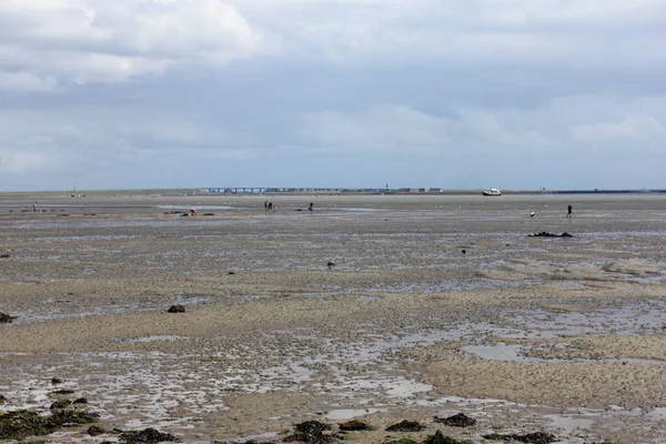 Wattenmeer Bei Ebbe Niedrigeres Wasser Der Nordseeküste Sommer — Stockfoto