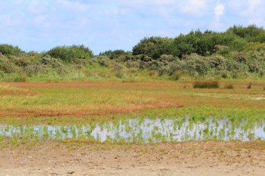 Hollanda 'nın Kuzey Denizi kıyısında doğal bir manzara.