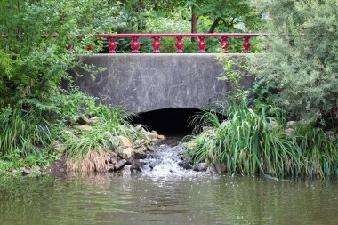 Kırmızı raylı bir köprü, arka planda orman.