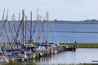 Hollanda 'daki küçük yelkenli tekneleri limanı.