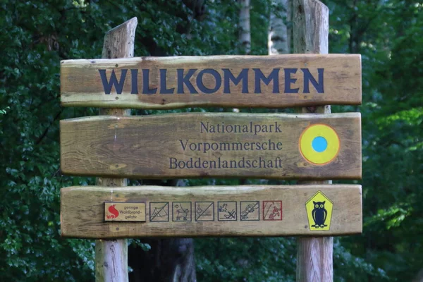 Nyugat Pomeránia Lagúna Nemzeti Park Nationalpark Vorpommersche Boddenlandschaft Mecklenburg Vorpommern — Stock Fotó