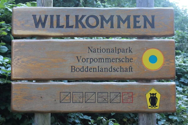 Zachodniopomorski Park Narodowy Nationalpark Vorpommersche Boddenlandschaft Największy Park Narodowy Meklemburgii — Zdjęcie stockowe