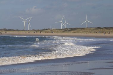 Sahilde ve ön planda deniz bulunan birkaç rüzgar türbini.