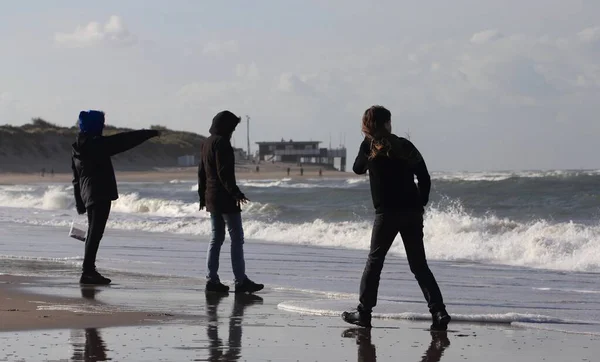 People Autumnal North Sea Coast Netherlands — Stock Photo, Image