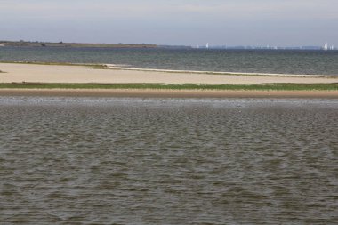 Beyaz armalı dalgalar kumlu sahili sular altında bırakıyor.
