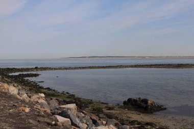 Vahşi martıların ve arka planda okyanusun olduğu taştan bir sahil.