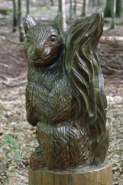 Écureuil Sculpté Dans Tronc Arbre Mammifère — Photo