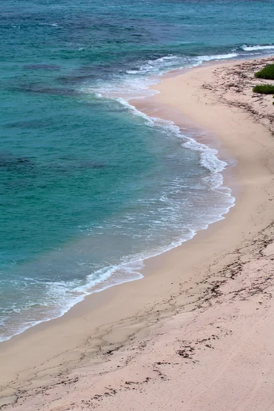 Pobřeží barbuda — Stock fotografie