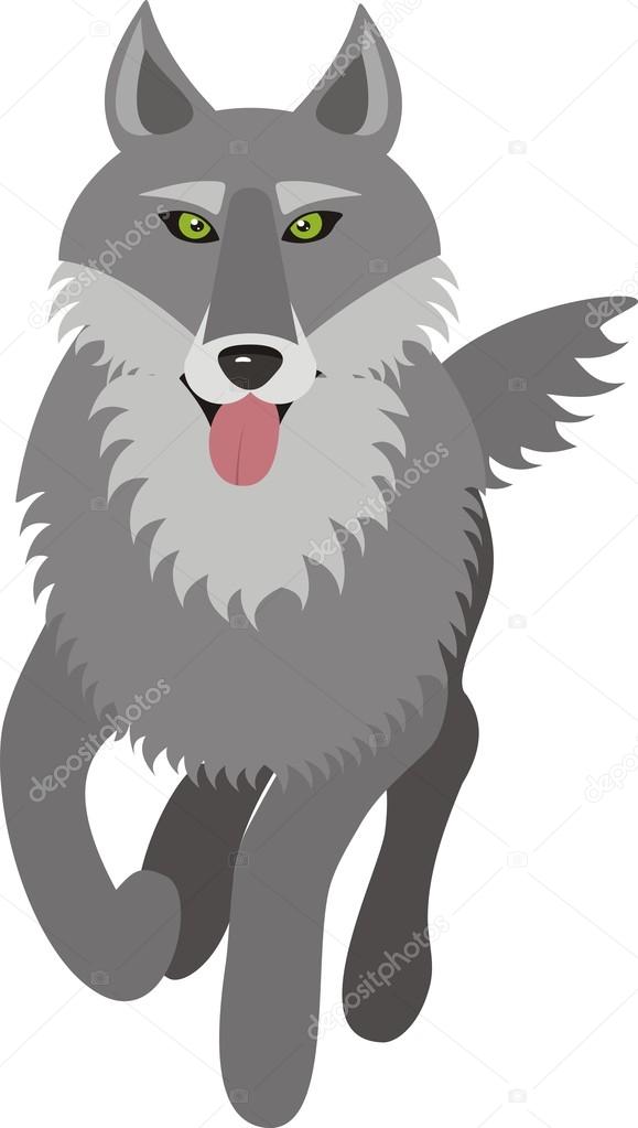 Wolf, vector picture