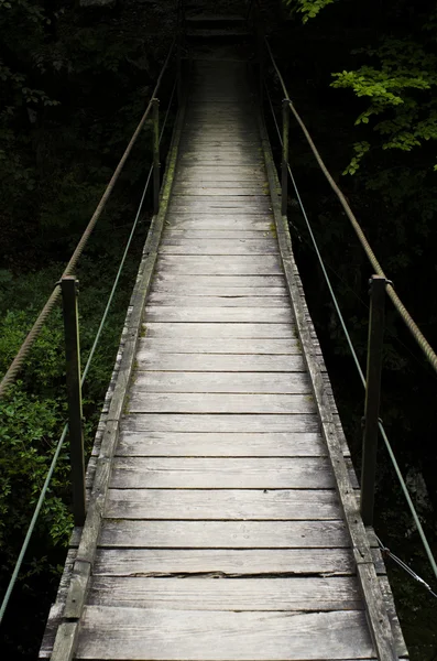 Ponte de madeira que conduz à escuridão Imagens De Bancos De Imagens Sem Royalties