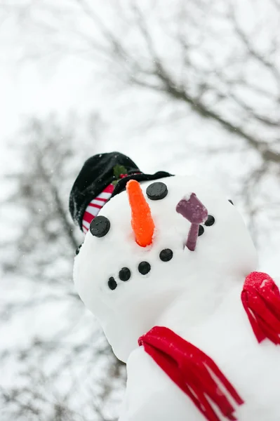 Schneemann — Stockfoto