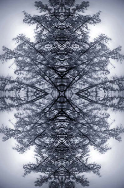 Abstract winter — Stock Photo, Image