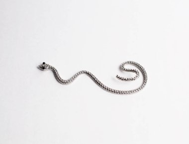 Yılan Mücevheri yaşam tarzı düz bir düzen ve metin için yer var. Mücevher arka plan modelleme afişi. Moda aksesuarları.