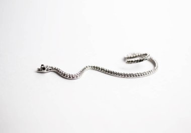 Yılan Mücevheri yaşam tarzı düz bir düzen ve metin için yer var. Mücevher arka plan modelleme afişi. Moda aksesuarları.