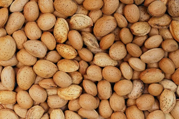 Bunch of dried almonds as background — Stock Photo, Image