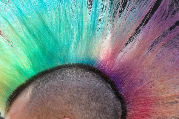 detay çok renkli punk saç