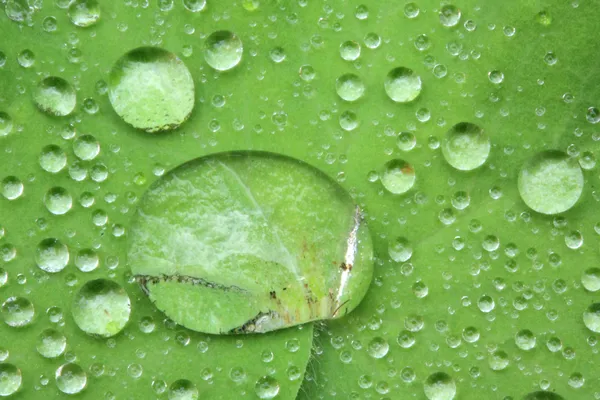 Vanndråper – stockfoto