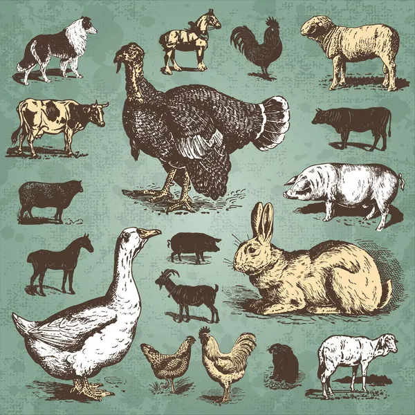 Granja animales vintage conjunto (vector ) — Archivo Imágenes Vectoriales