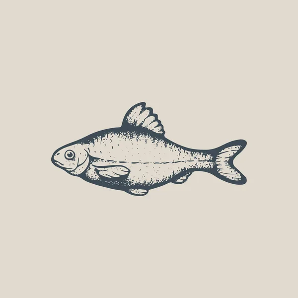 River Fish Vector Vintage Drawing Vobla Sketch Engraving Style Used — Stok Vektör