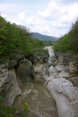 Dağ nehri vadide