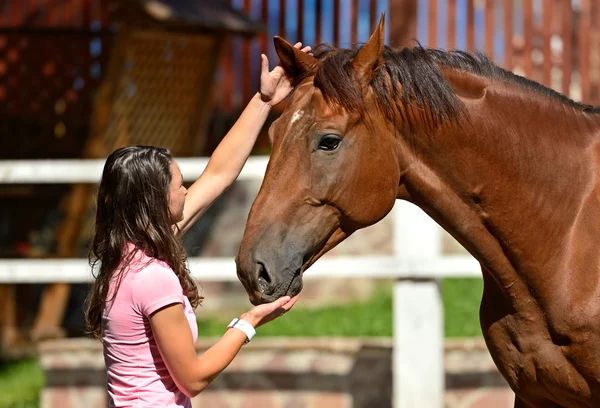 Pige med hest - Stock-foto