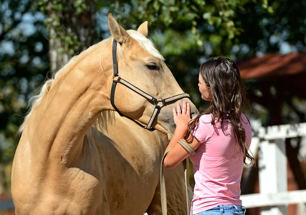 Menina com cavalo — Fotografia de Stock