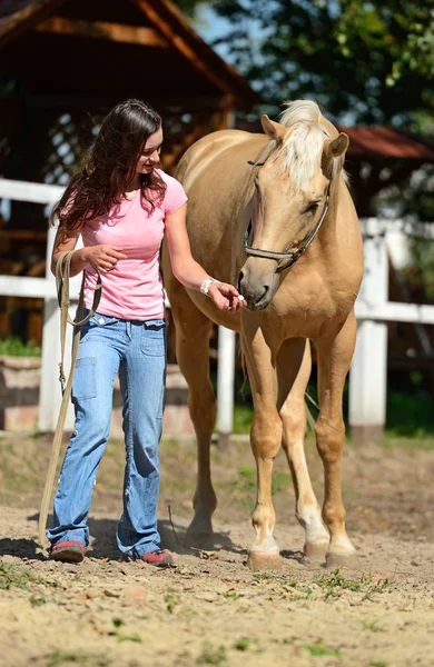 Ragazza con cavallo — Foto Stock