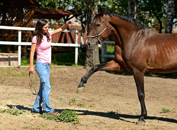 Flicka med häst — Stockfoto