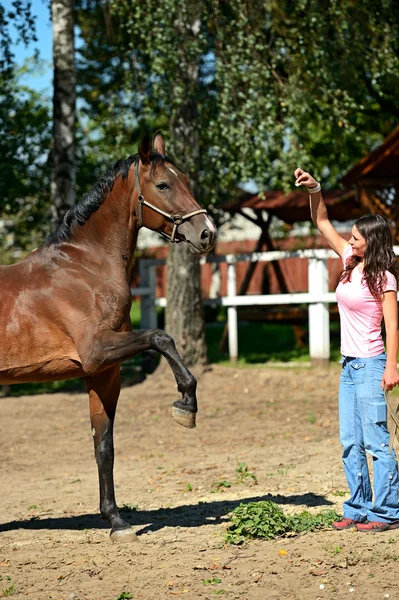 Flicka med häst — Stockfoto