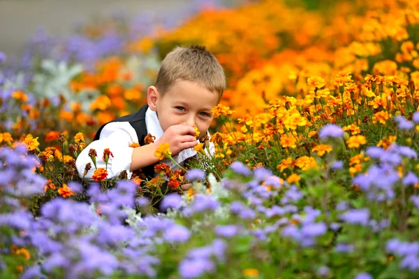 Spelen van de jongen — Stockfoto