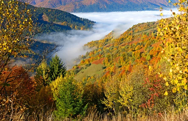 Paesaggio — Foto Stock