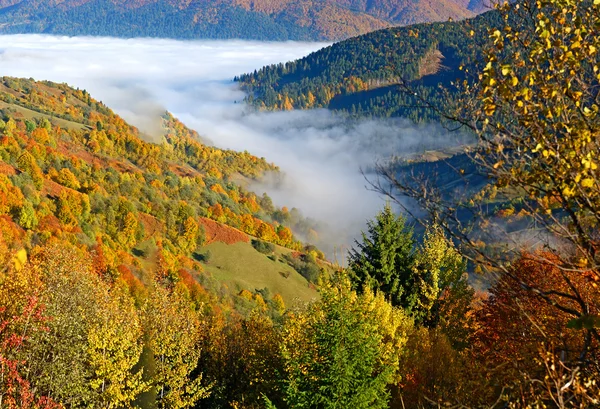 Manzara — Stok fotoğraf