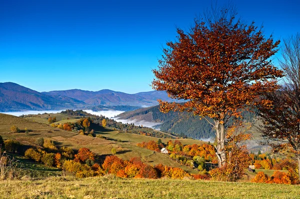 风景 — 图库照片