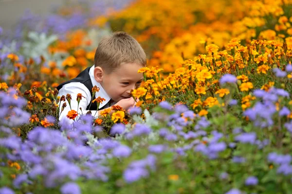 Promenera i parken — Stockfoto