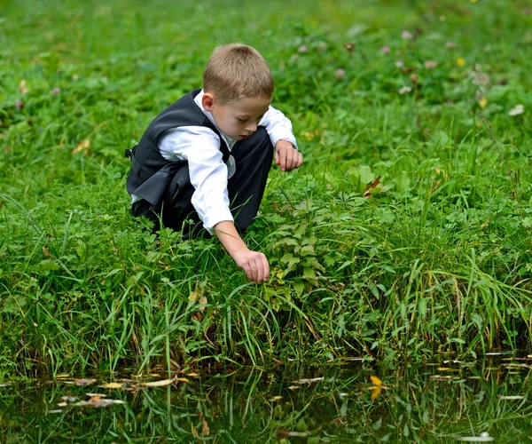 Wandelen in het park — Stockfoto