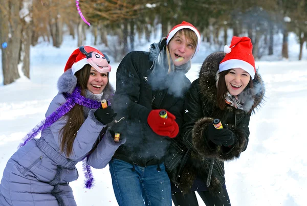 Girls winter fun in the park — Stock Photo, Image