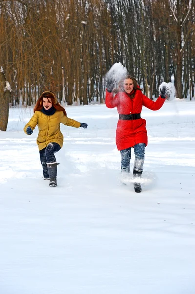 Girls winter fun in the park — Stock Photo, Image