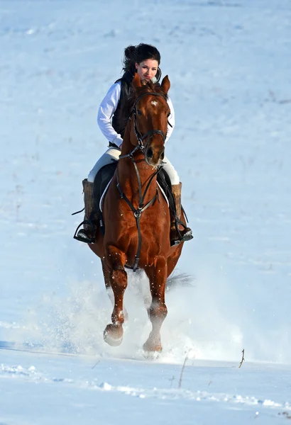 Menina com um cavalo — Fotografia de Stock