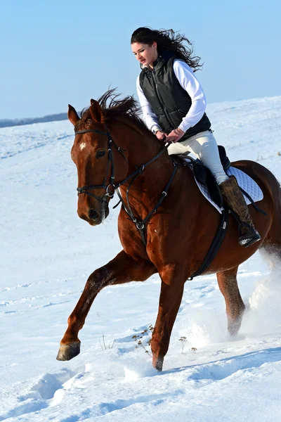 Mädchen mit Pferd — Stockfoto