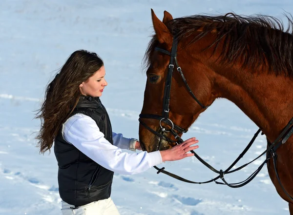 Menina com um cavalo — Fotografia de Stock