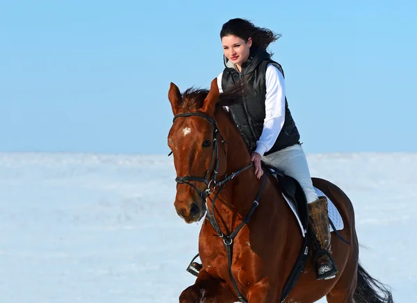 Girl with a horse — Stock Photo, Image